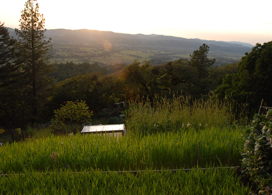 Ecology Action Headquarters